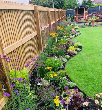 Fencing, Planting and fire pit in Frome