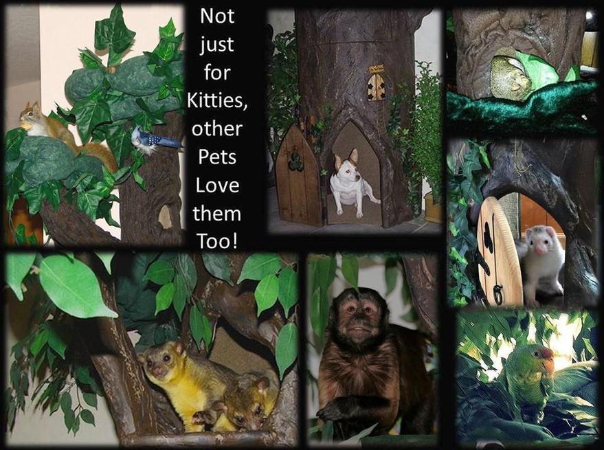 Exotic Pet Trees