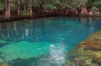 Affordable Summer Staycations: Things to do at Devil's Den Spring in Florida