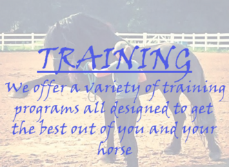 Click to go to our training page!