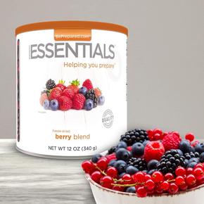Emergency Essentials® Freeze-Dried Berry Blend Large Can