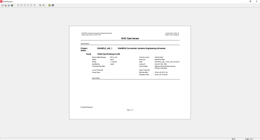 Use Primavera P6 print preview