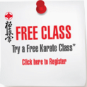 Kyokushinkai Karate Gymea Dojo Free Class Offer