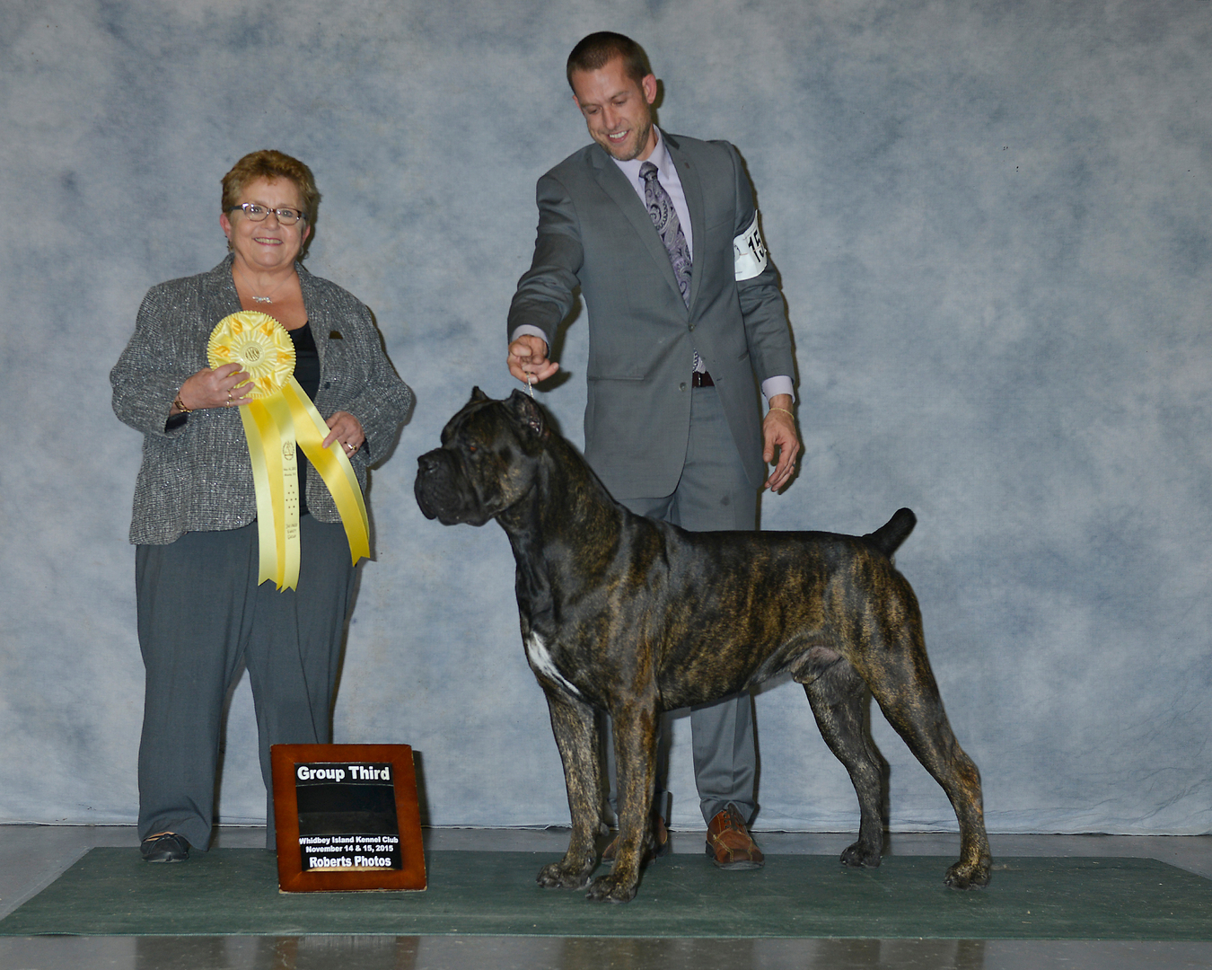 Grand cane sale corso