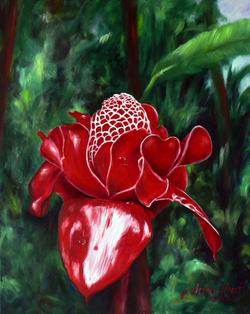 J Stephen Street Torch Ginger