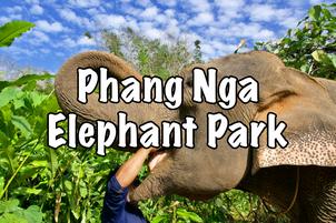 Phang Nga Elephant Park Sanctuary for Ethical Treatment