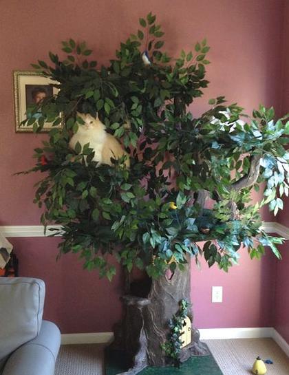 Designer Cat Trees