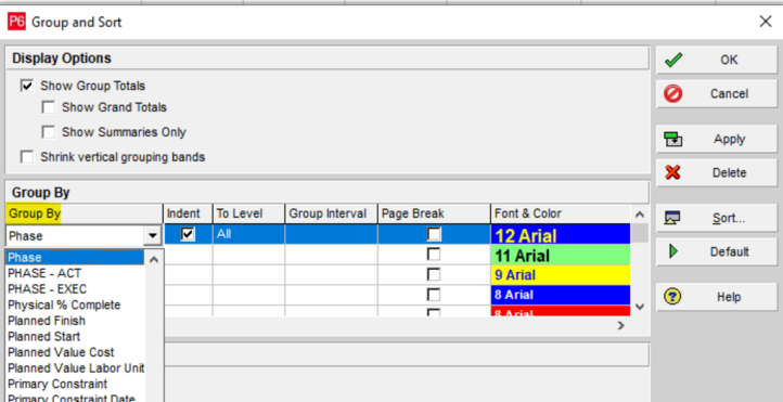 Group and sort by Phase in Primavera P6