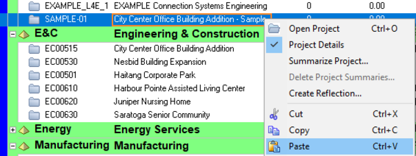 Paste project details in Primavera P6 schedule