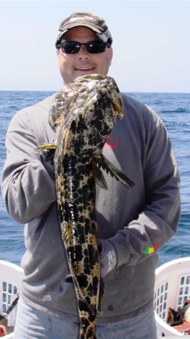 Use the go-to jigs our owner uses when fishing for lingcod. Check