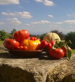 Home grown produce