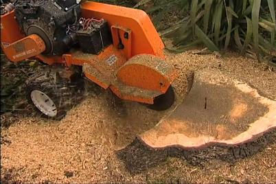 Amazing Stump Removal Services in Lincoln NE | LNK Junk Removal