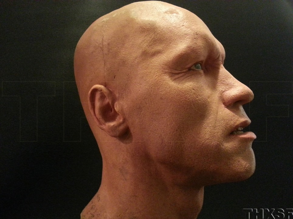 Terminator Life size Bust