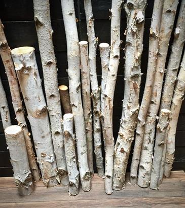 4 Wood Stick, Birch Branches, Birch Logs, Birch Sticks, White