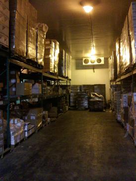 Food freezer lighting before