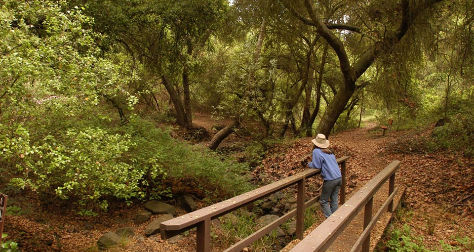 Santa Rosa Plateau Hiking Trails Santa Rosa Plateau Preserve (Easy) Information Sheet