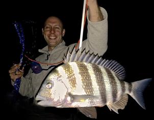 Sheepshead Bowfishing in Crystal River