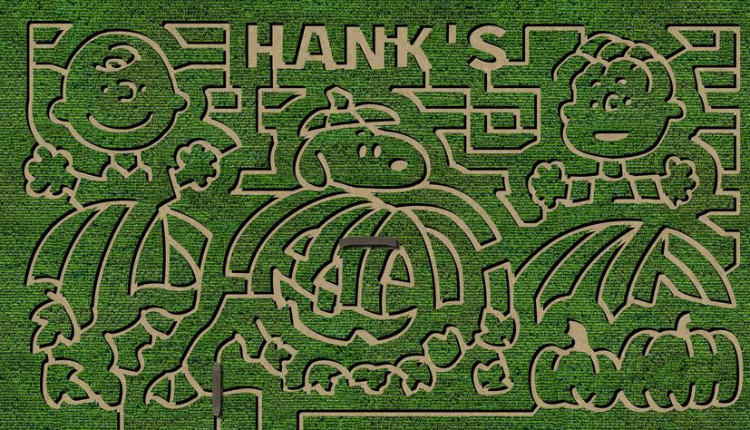 Picture of Hank's PumpkinTown Corn Maze Design, for 2018 it is Decade of Donuts