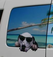 vehicle graphics