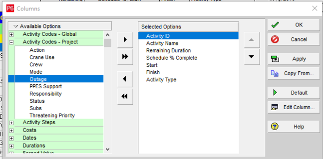 Use arrow keys in Primavera P6 columns to move selected options