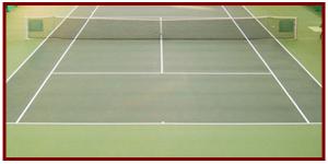 Tennis Court Cleaning