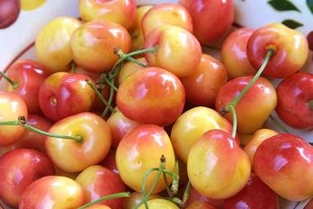 Cherry vàng loại hoa quả nhập khẩu từ Canada có gì khác