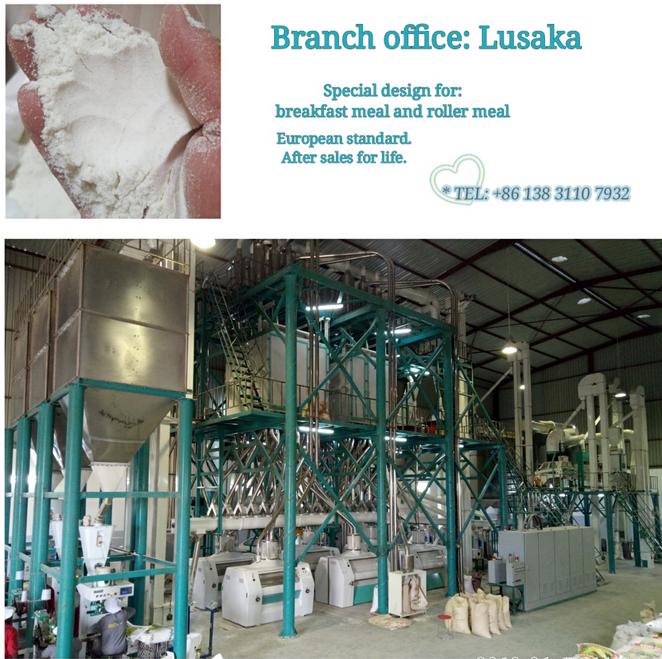 European standard maize flour mill special design to super super white