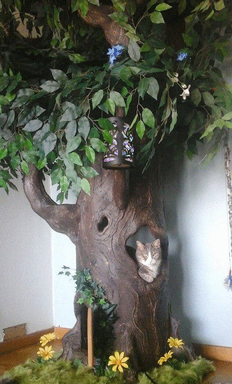 Fantasy Cat Trees
