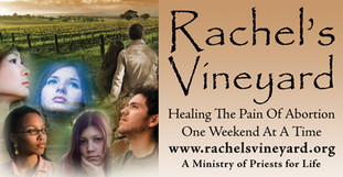 Rachel's Vineyard