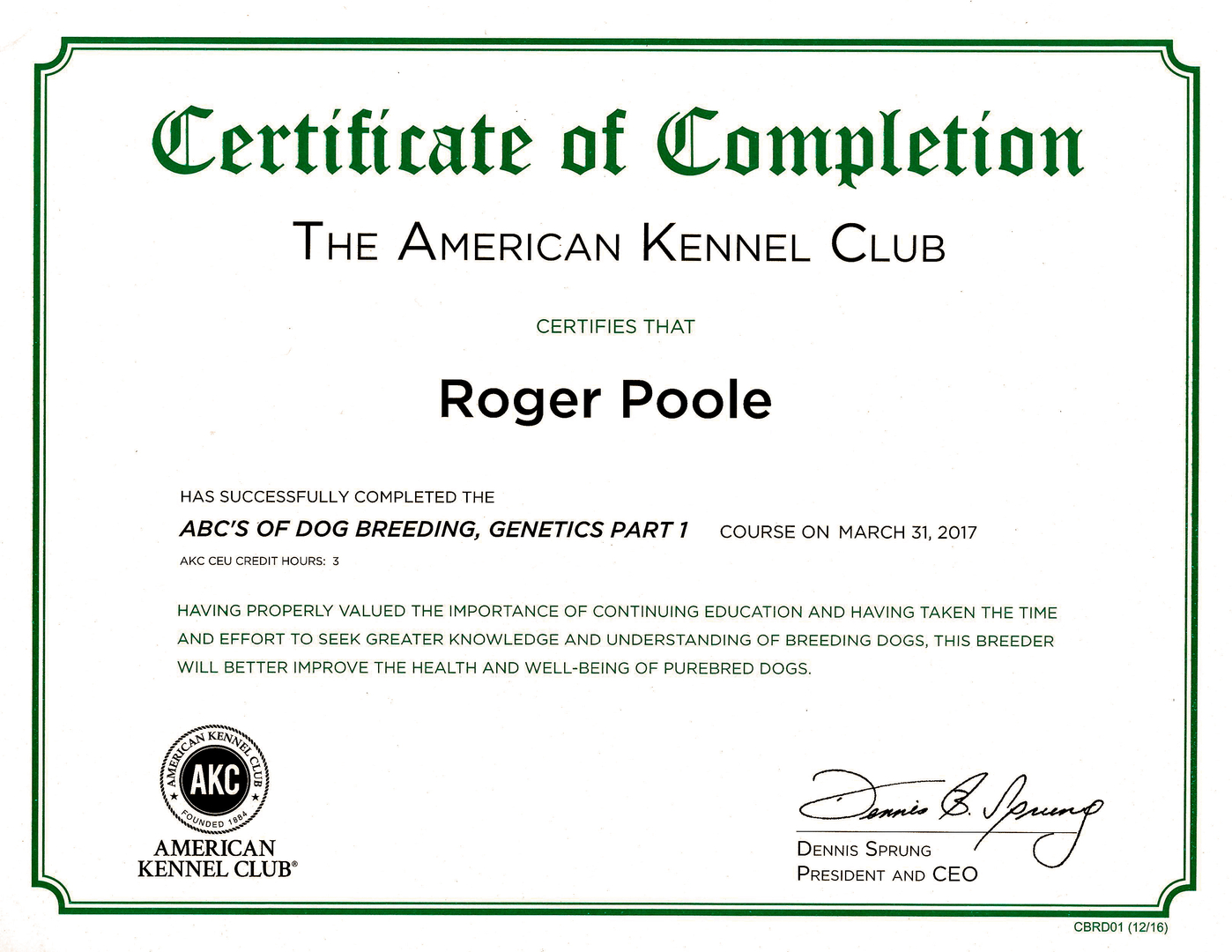 Akc training certification best sale