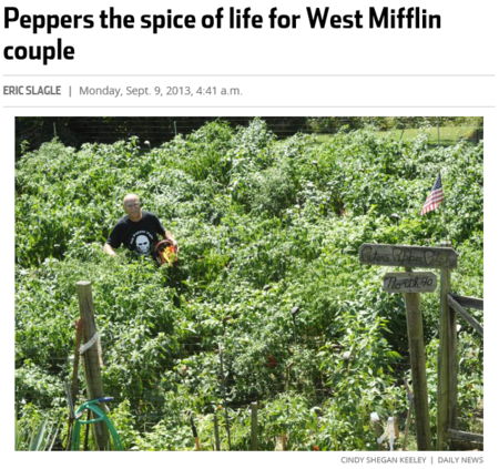 Peppers the spice of life for West Mifflin couple