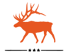 Learn more about elk & mule deer Hunts in new mexico