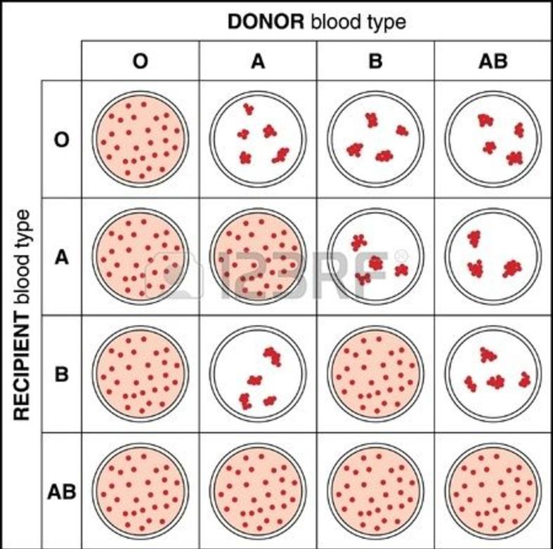 211lab-bloodtypetesting-paternity