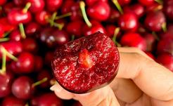 Cung cấp hoa quả nhập khẩu Hà Nội, giỏ hoa quả nhập khẩu Ngọc Châu fruits