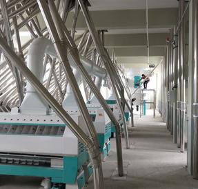 Purifier for wheat mill