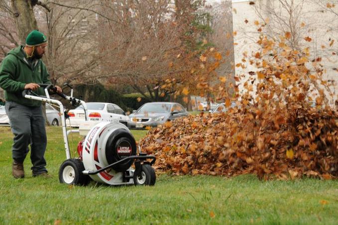 FAST LEAF REMOVAL SERVICES EDINBURG MCALLEN TEXAS