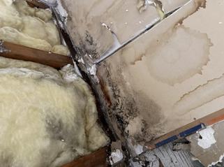 Black Mold Inspection And Testing