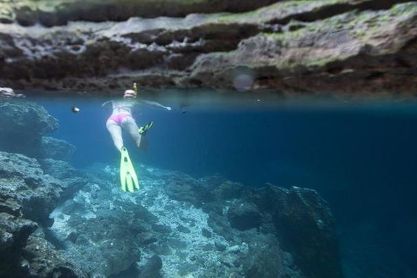 The Devil's Den Florida - The Prehistoric Spring for Snorkeling
