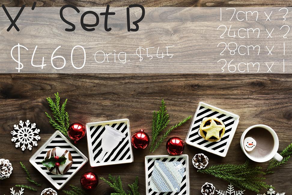 Christmas Special Pack Reuse Menstual Pad SET B Handmade