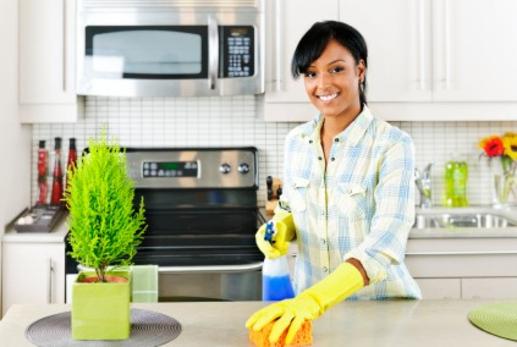 HOUSE CLEAN-UP SERVICES