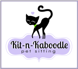 Kit-n-Kaboodle Logo