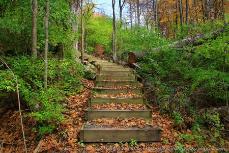 Taylorsville Metropark