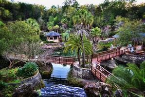 Devil's Den Florida: A Guide to Exploring the Prehistoric Spring