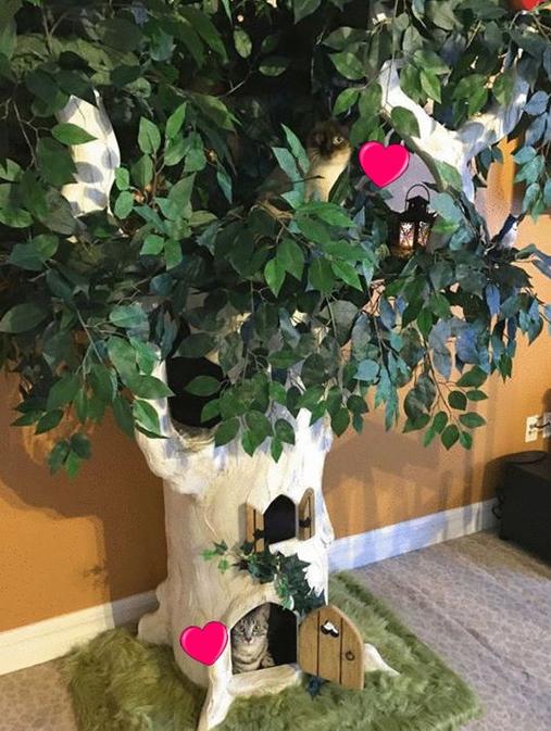 Sturdy Cat Tree