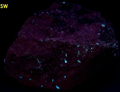 hydrocarbon mineral fluorescent IDRIALITE CURTISITE - Skaggs Springs Mine, Skaggs Springs, Warm Springs Dam, Coast Range, Sonoma County, California, USA