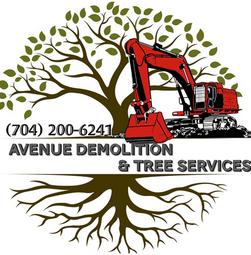 Charlote Demolition Avenue Demolition and Tree Services