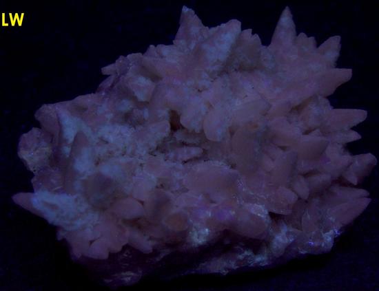 SW LW fluorescing CALCITE - Minerva No. 1 Mine (Ozark-Mahoning No. 1 Mine), Ozark-Mahoning Group, Cave-in-Rock Sub-District, Illinois - Kentucky Fluorspar District, Hardin County, Illinois, USA