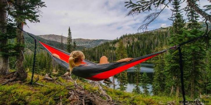 7 Great Health benefits of spending time in the forest