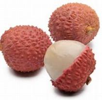 Lychee Fruit Tree Davie South Florida Broward