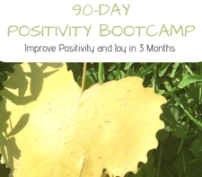 90 Day Positivity Bootcamp